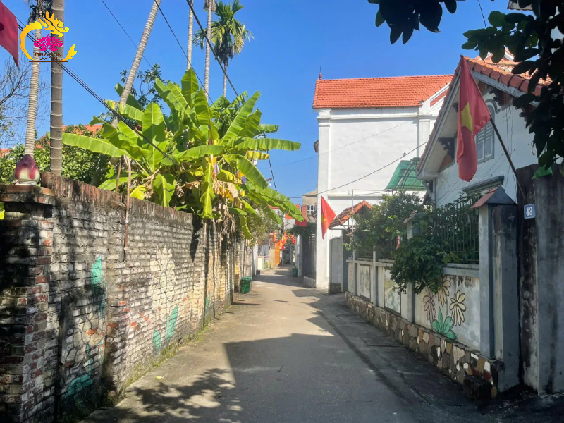 luật sư tư vấn chuyển nhượng quyền sử dụng đất